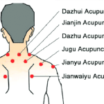 acupuncture points at the neck